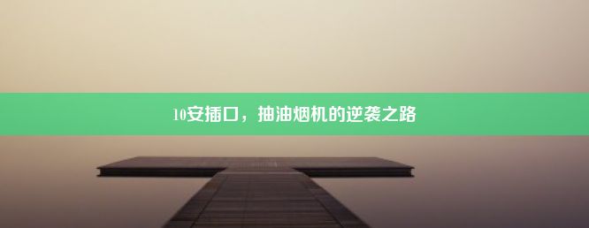 10安插口，抽油烟机的逆袭之路