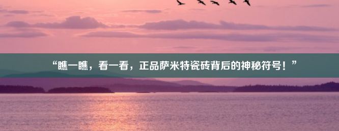 “瞧一瞧，看一看，正品萨米特瓷砖背后的神秘符号！”