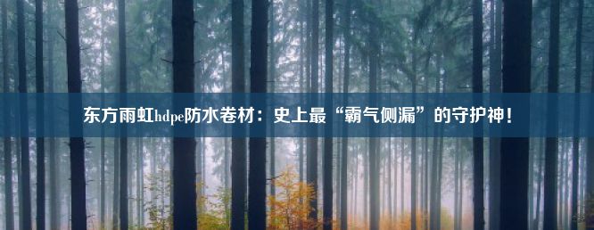 东方雨虹hdpe防水卷材：史上最“霸气侧漏”的守护神！