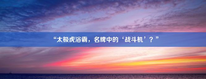 “太极虎浴霸，名牌中的‘战斗机’？”