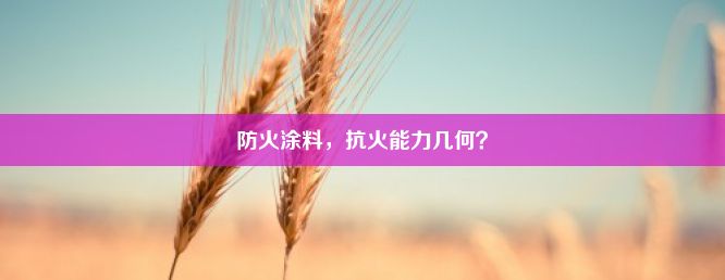 防火涂料，抗火能力几何？