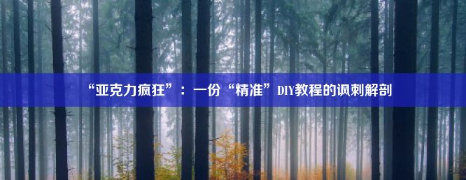 “亚克力疯狂”：一份“精准”DIY教程的讽刺解剖