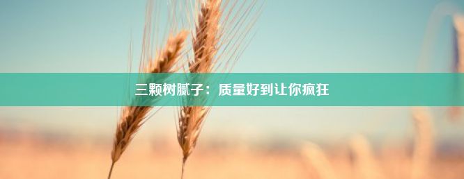 三颗树腻子：质量好到让你疯狂