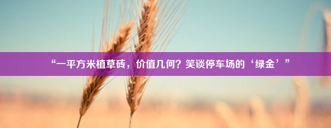 “一平方米植草砖，价值几何？笑谈停车场的‘绿金’”