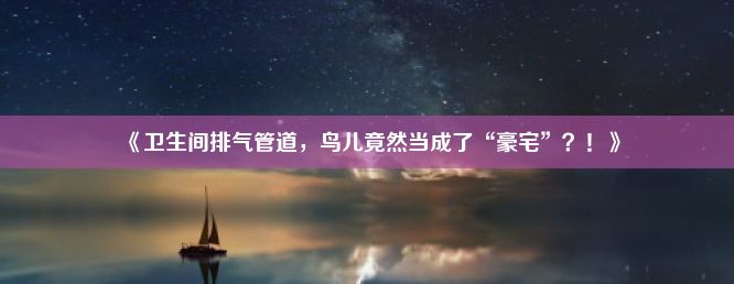 《卫生间排气管道，鸟儿竟然当成了“豪宅”？！》