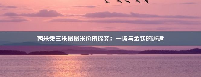 两米乘三米榻榻米价格探究：一场与金钱的邂逅