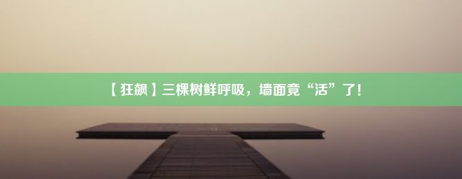 【狂飙】三棵树鲜呼吸，墙面竟“活”了！