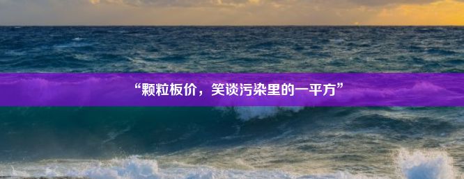 “颗粒板价，笑谈污染里的一平方”