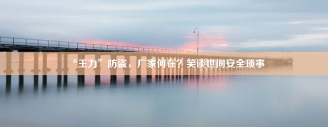 “王力”防盗，厂家何在？笑谈世间安全琐事