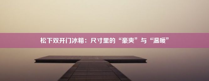 松下双开门冰箱：尺寸里的“豪爽”与“温暖”