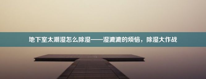 地下室太潮湿怎么除湿——湿漉漉的烦恼，除湿大作战