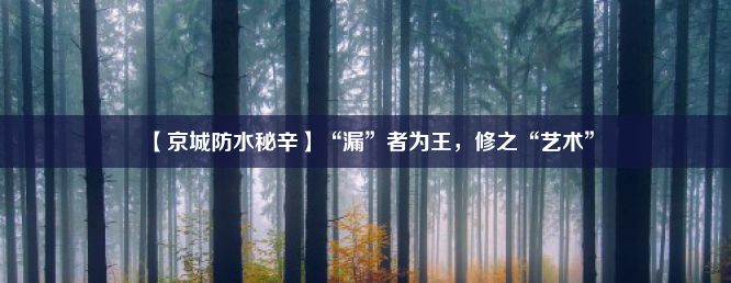 【京城防水秘辛】“漏”者为王，修之“艺术”