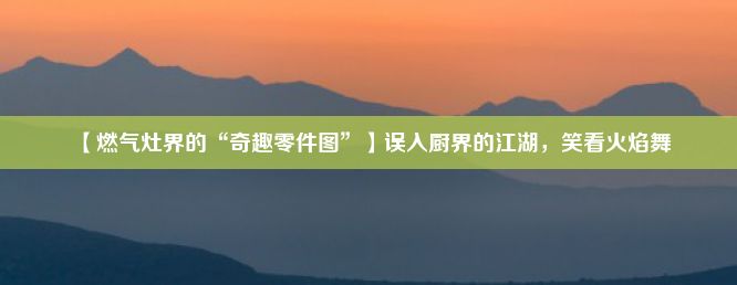 【燃气灶界的“奇趣零件图”】误入厨界的江湖，笑看火焰舞