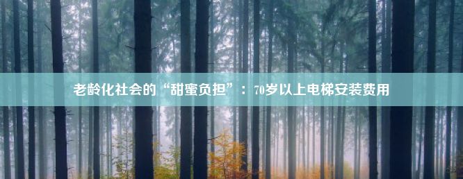 老龄化社会的“甜蜜负担”：70岁以上电梯安装费用