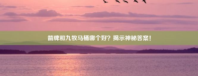 箭牌和九牧马桶哪个好？揭示神秘答案！