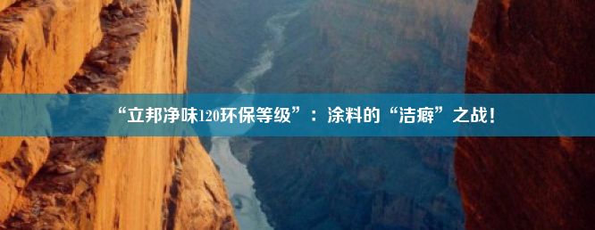 “立邦净味120环保等级”：涂料的“洁癖”之战！