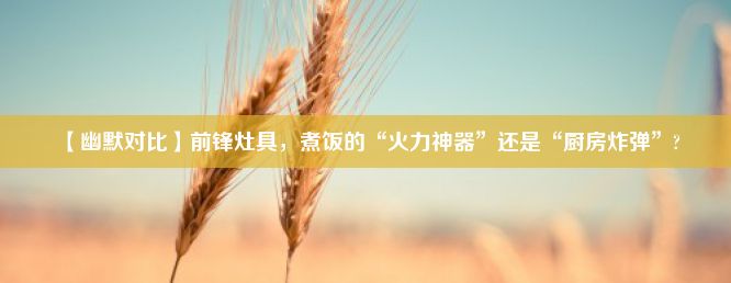 【幽默对比】前锋灶具，煮饭的“火力神器”还是“厨房炸弹”?