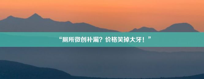 “厕所微创补漏？价格笑掉大牙！”