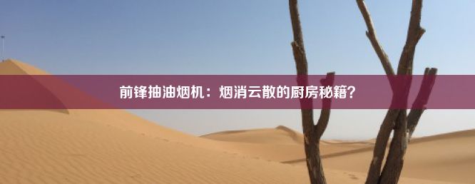 前锋抽油烟机：烟消云散的厨房秘籍？