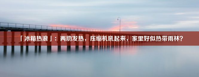 「冰箱热浪」：两肋发热，压缩机吼起来，家里好似热带雨林？