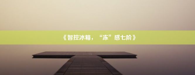 《智控冰箱，“冻”感七阶》