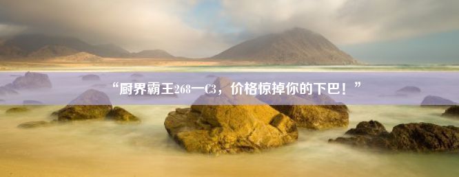 “厨界霸王268一C3，价格惊掉你的下巴！”