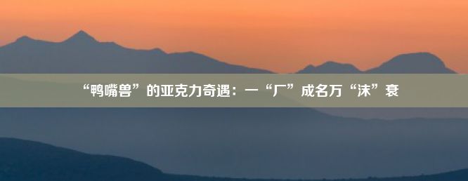 “鸭嘴兽”的亚克力奇遇：一“厂”成名万“沫”衰