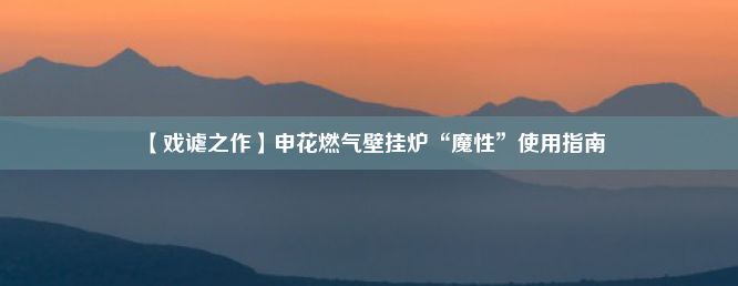 【戏谑之作】申花燃气壁挂炉“魔性”使用指南