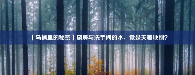 【马桶里的秘密】厨房与洗手间的水，竟是天差地别？