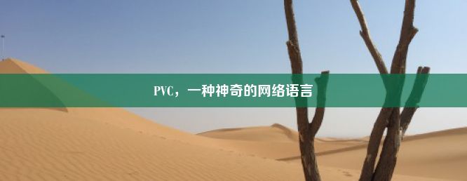 PVC，一种神奇的网络语言