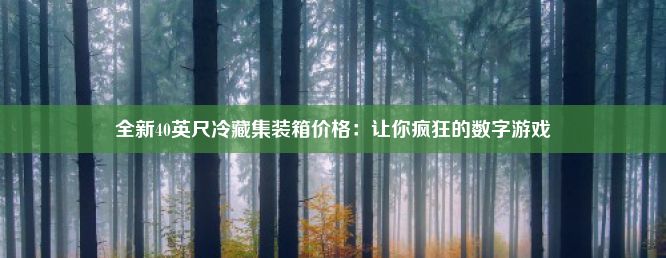 全新40英尺冷藏集装箱价格：让你疯狂的数字游戏