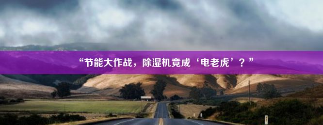 “节能大作战，除湿机竟成‘电老虎’？”