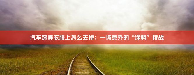 汽车漆弄衣服上怎么去掉：一场意外的“涂鸦”挑战