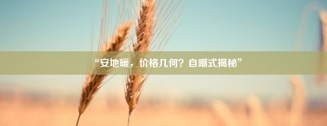 “安地暖，价格几何？自嘲式揭秘”