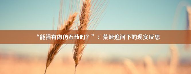 “能强有做仿石砖吗？”：荒诞追问下的现实反思