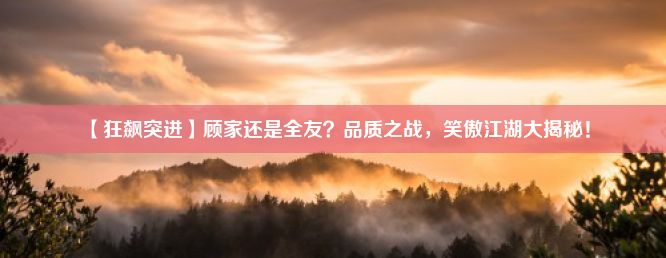 【狂飙突进】顾家还是全友？品质之战，笑傲江湖大揭秘！