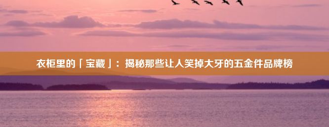 衣柜里的「宝藏」：揭秘那些让人笑掉大牙的五金件品牌榜