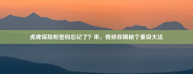 虎牌保险柜密码忘记了？来，我给你揭秘个重设大法