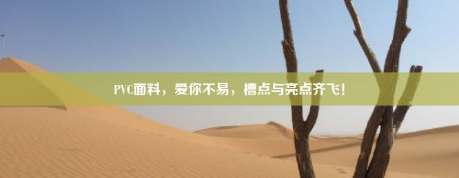 PVC面料，爱你不易，槽点与亮点齐飞！