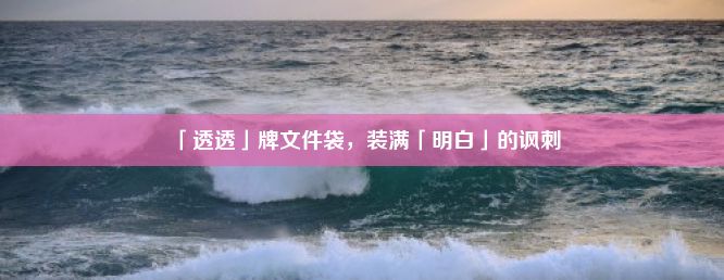 「透透」牌文件袋，装满「明白」的讽刺