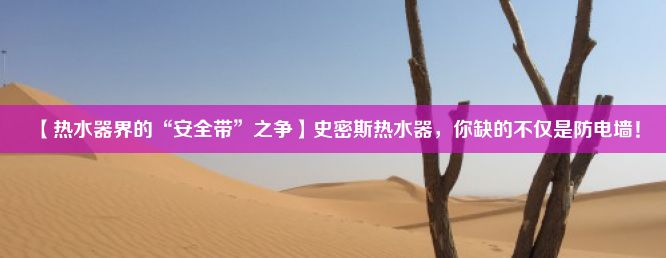 【热水器界的“安全带”之争】史密斯热水器，你缺的不仅是防电墙！