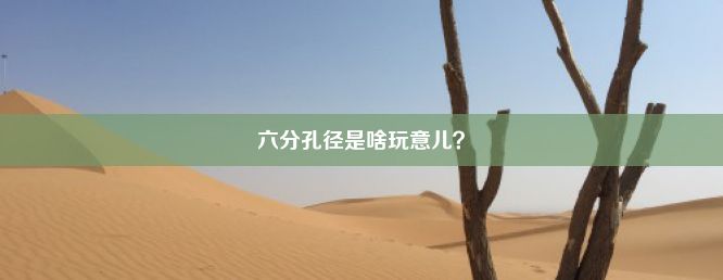 六分孔径是啥玩意儿？