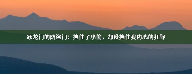 跃龙门的防盗门：挡住了小偷，却没挡住我内心的狂野