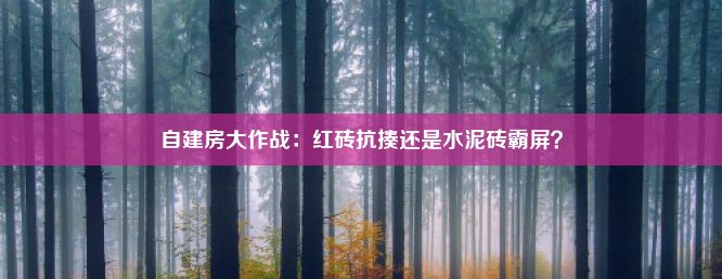 自建房大作战：红砖抗揍还是水泥砖霸屏？