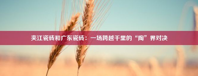 夹江瓷砖和广东瓷砖：一场跨越千里的“陶”界对决