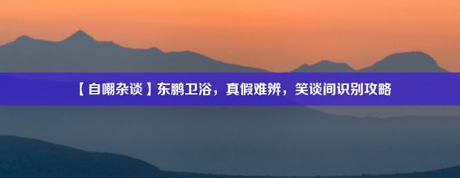 【自嘲杂谈】东鹏卫浴，真假难辨，笑谈间识别攻略