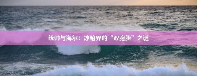 统帅与海尔：冰箱界的“双胞胎”之谜