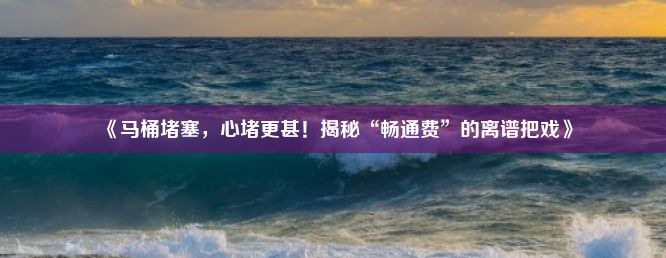 《马桶堵塞，心堵更甚！揭秘“畅通费”的离谱把戏》