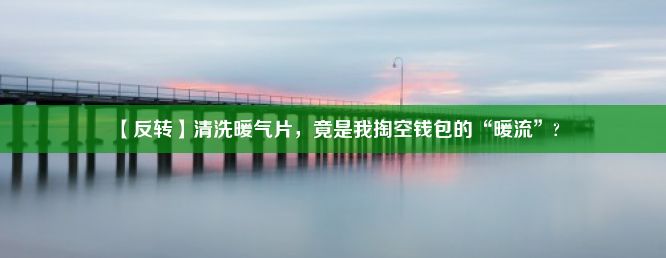 【反转】清洗暖气片，竟是我掏空钱包的“暖流”?