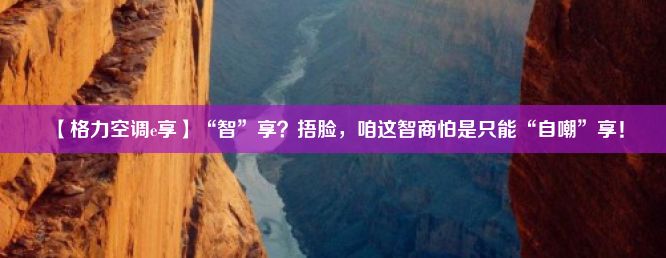 【格力空调e享】“智”享？捂脸，咱这智商怕是只能“自嘲”享！